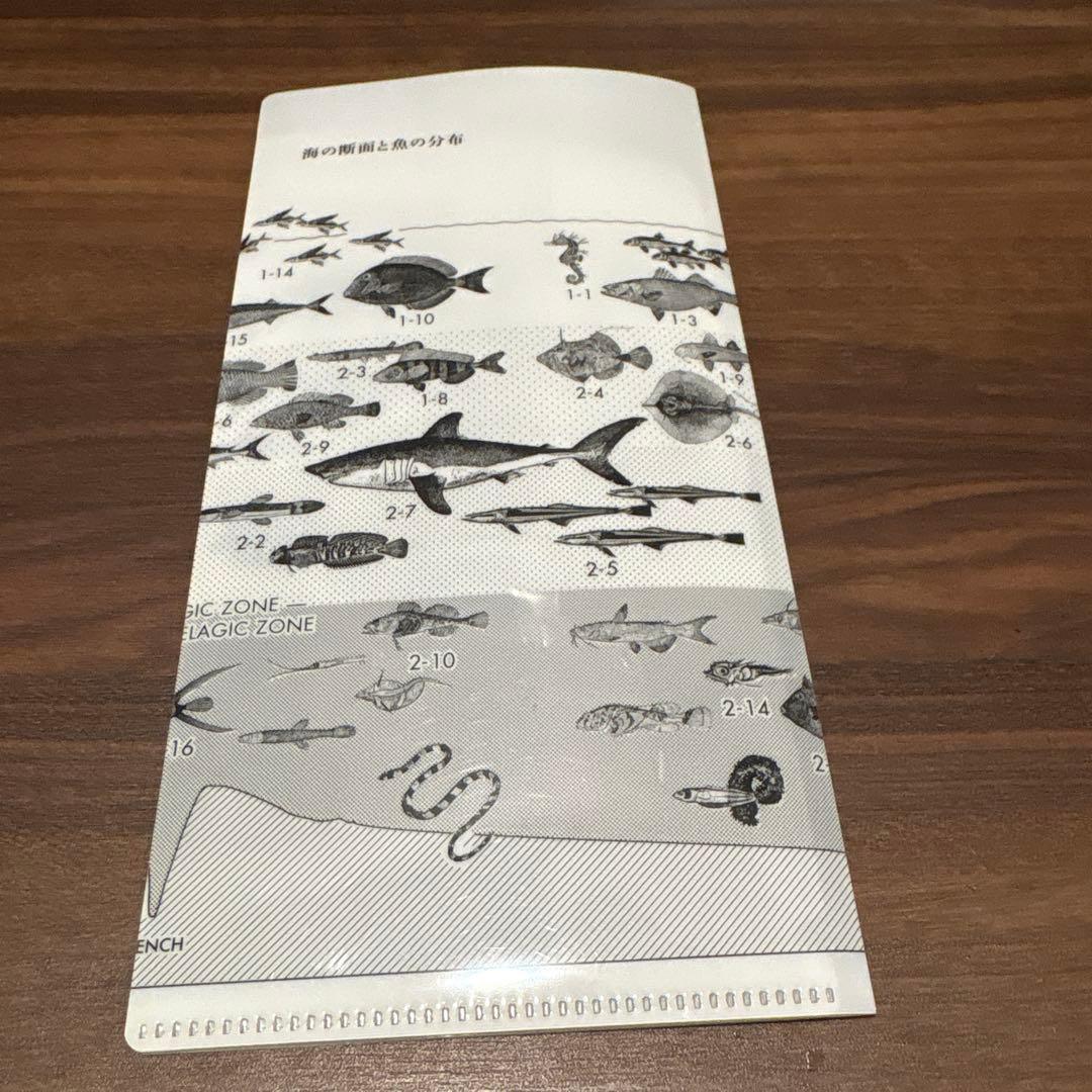 【極美品】サカナクション　魚図鑑　初回限定版CD2枚とDVD チケットホルダー付