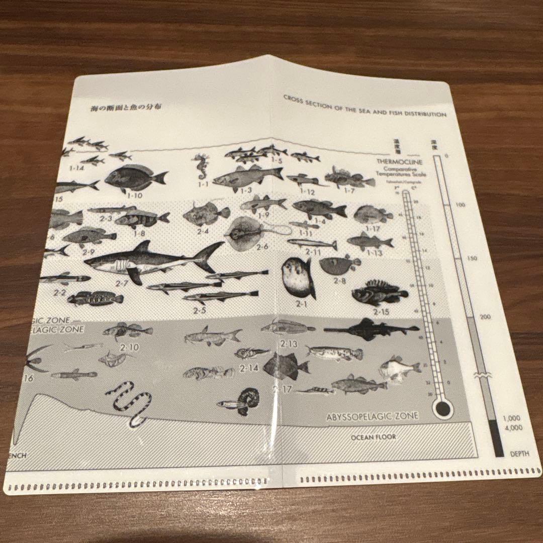 【極美品】サカナクション　魚図鑑　初回限定版CD2枚とDVD チケットホルダー付
