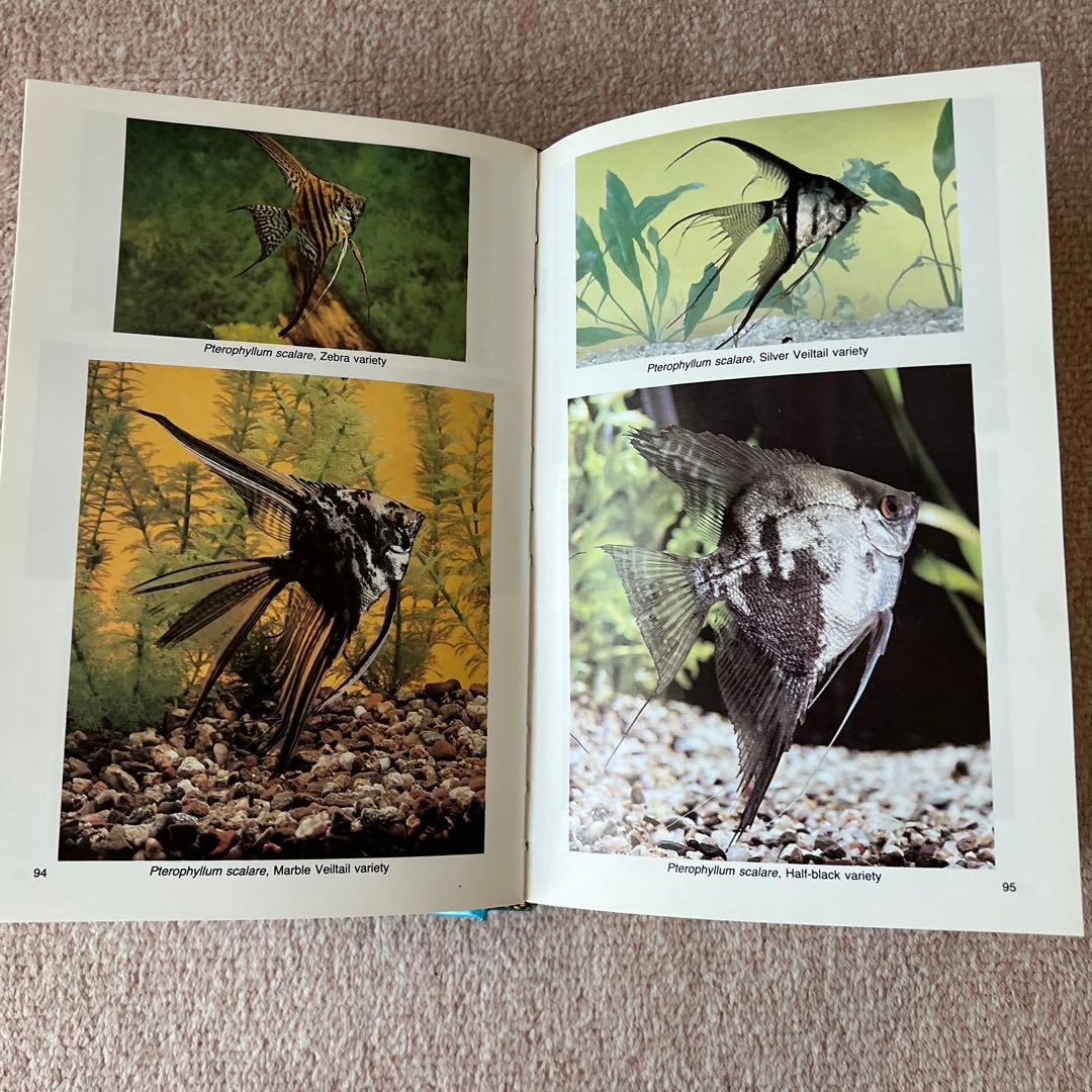 洋書　Dr. Axelrod's Mini-Atlas 淡水魚