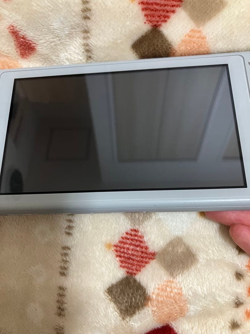 Nintendo Switch Lite グレー　ポケモン　箱なし　充電器なし