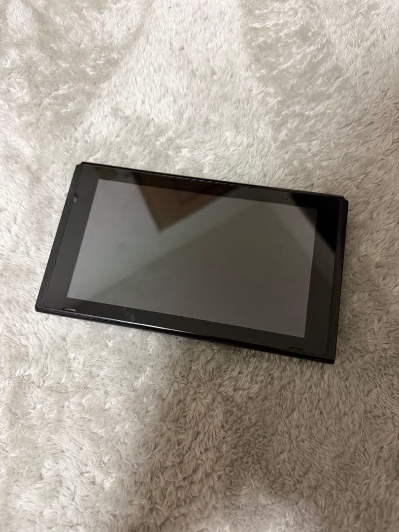 Nintendo Switch 本体 説明をお読みください。