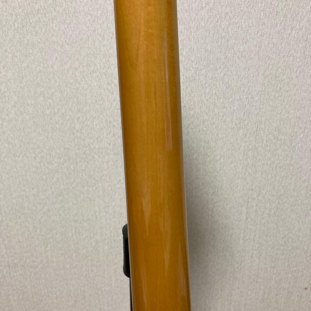 ネックはプロビジョンハカランダ、ボディはTMG