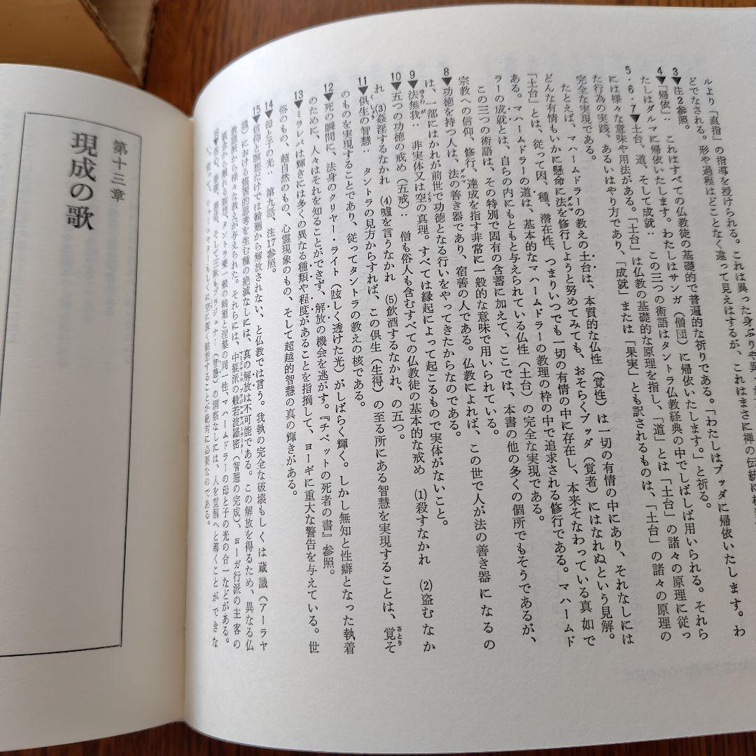 ミラレパの十万歌 おおえまさのり訳 いちえんどう刊