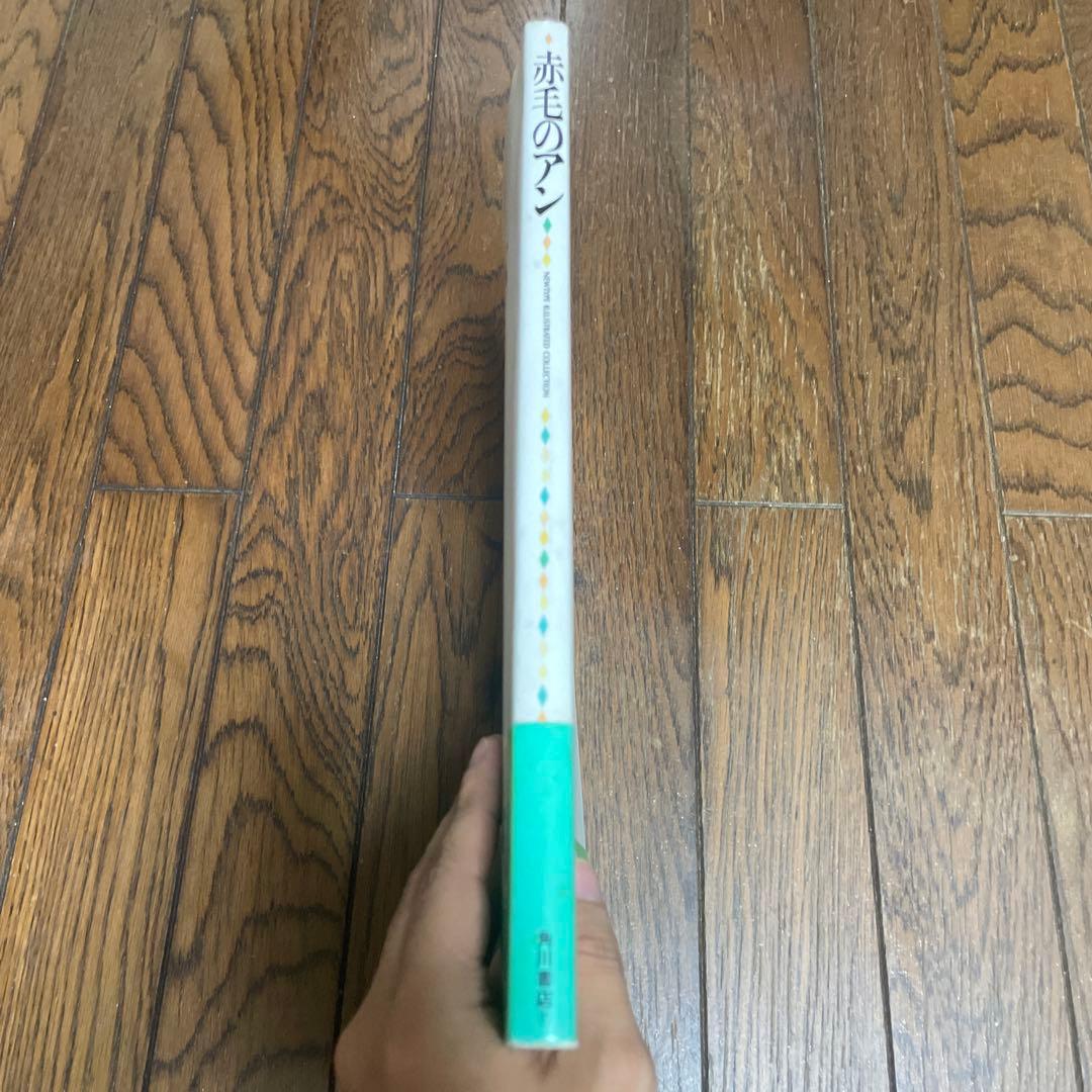 赤毛のアン 風の向こうの島から