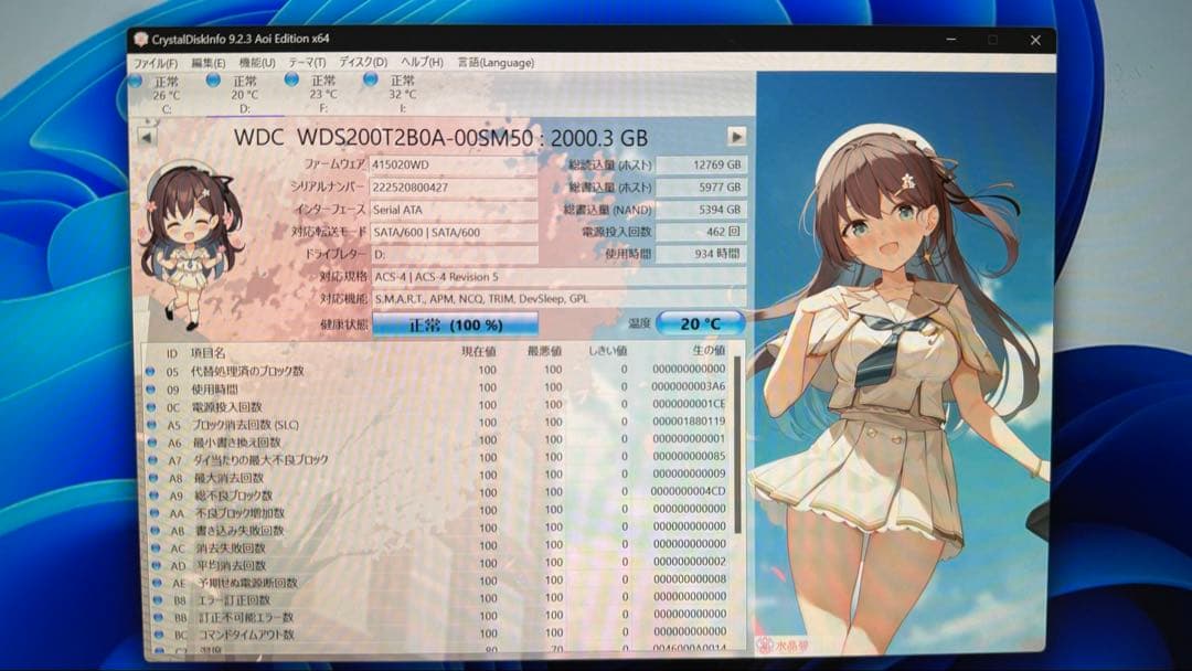 WD Blue 2TB SATA SSD 正常100%