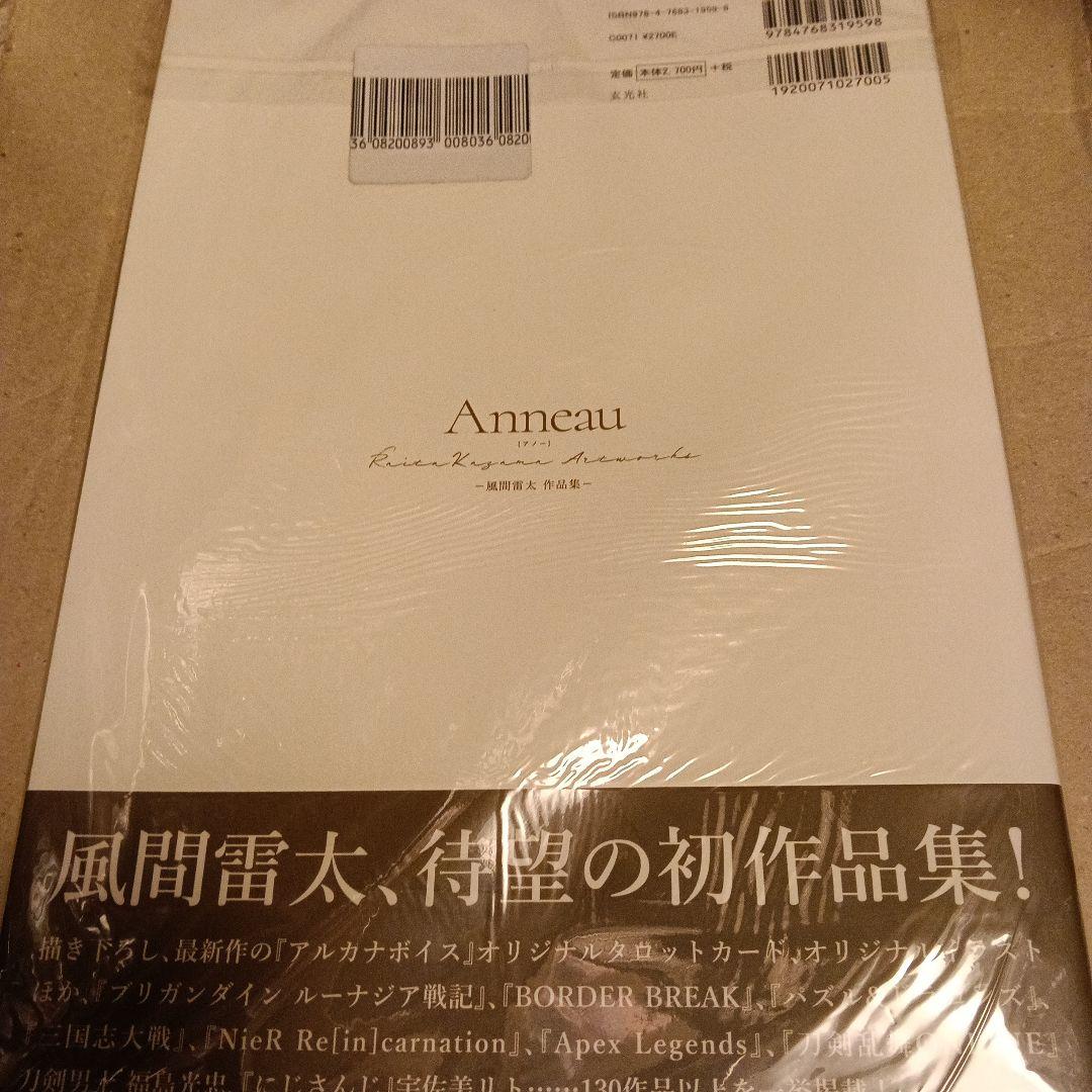 Anneau 風間雷太作品集