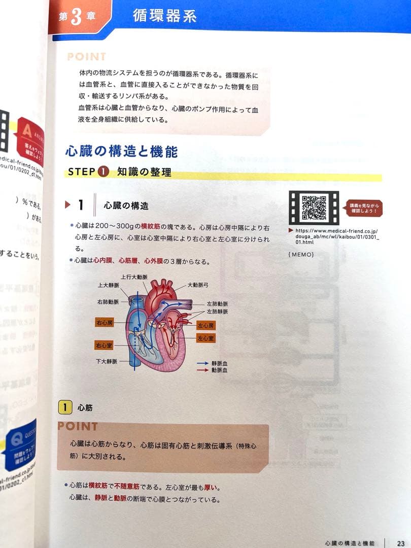 看護師国試対策 Web講座 解剖生理学