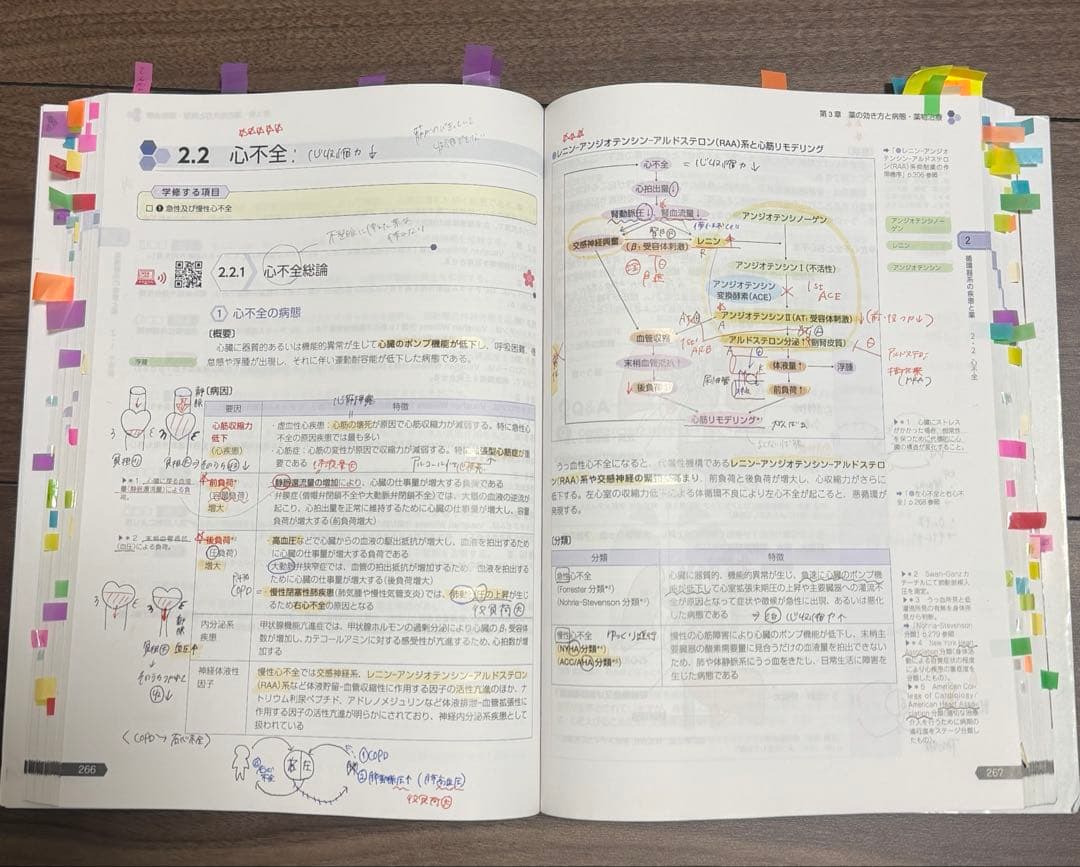 第111回薬剤師国家試験 青本・青問全巻セット　おまけつき(模試解説書)