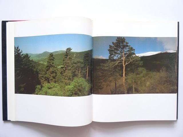 洋書◆マドリード写真集 本 スペイン マドリッド 風景 景色 建物