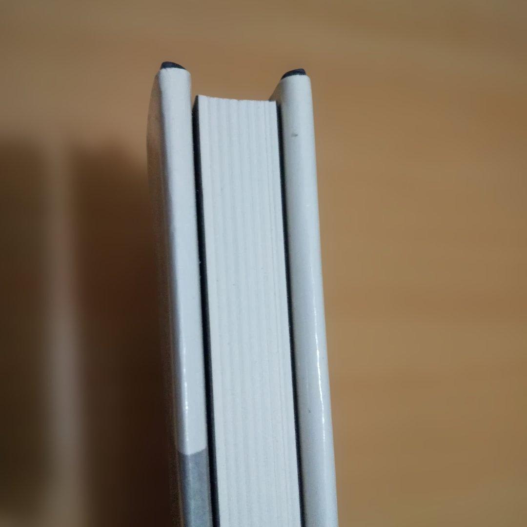 洋書 The Nature of Photographs Stephen Shore