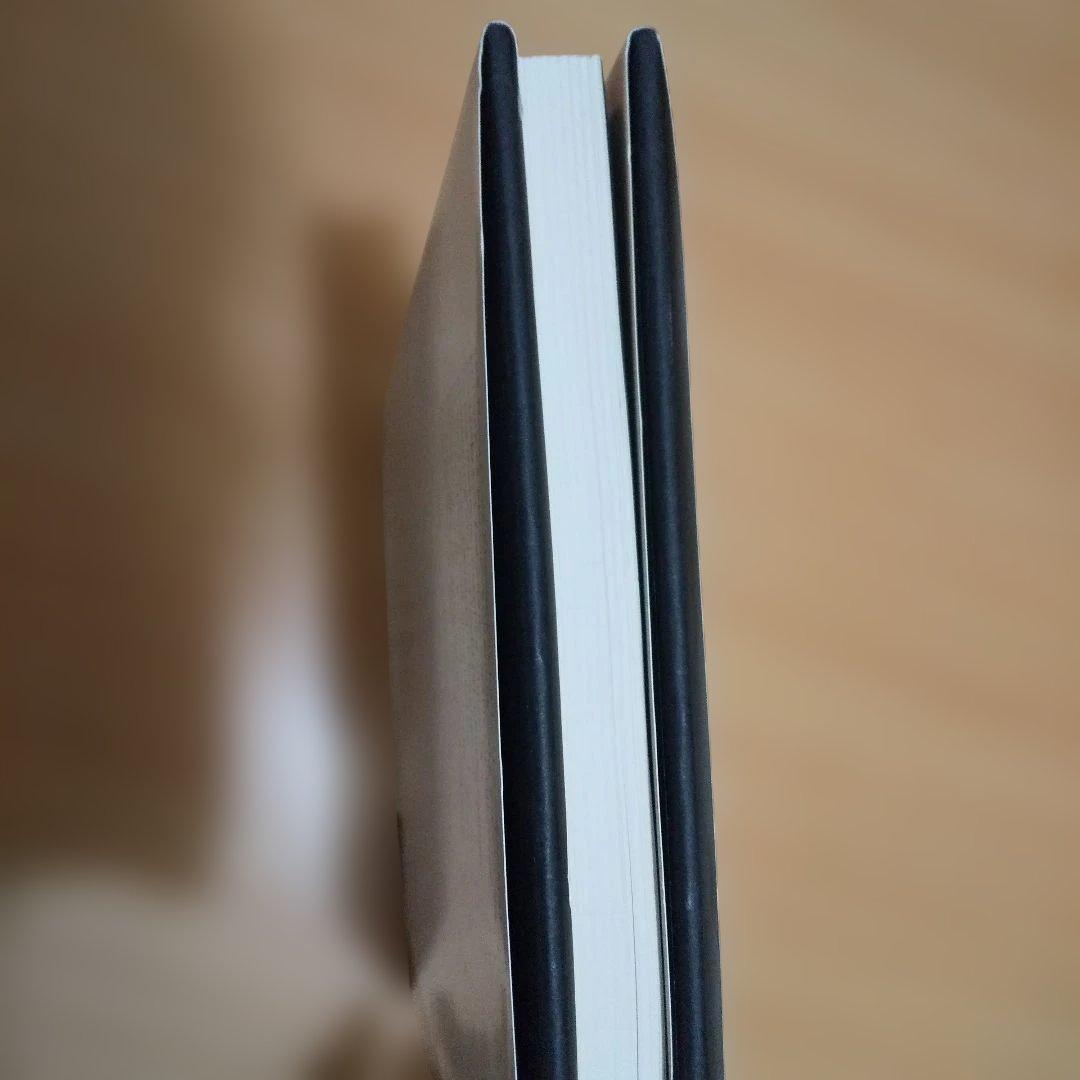 洋書 The Nature of Photographs Stephen Shore