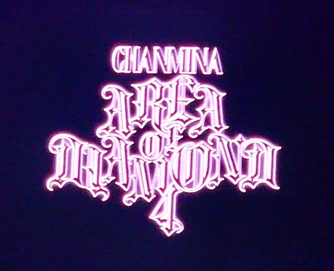 【新品未使用】AREA OF DIAMOND 4 FLAG STOLE