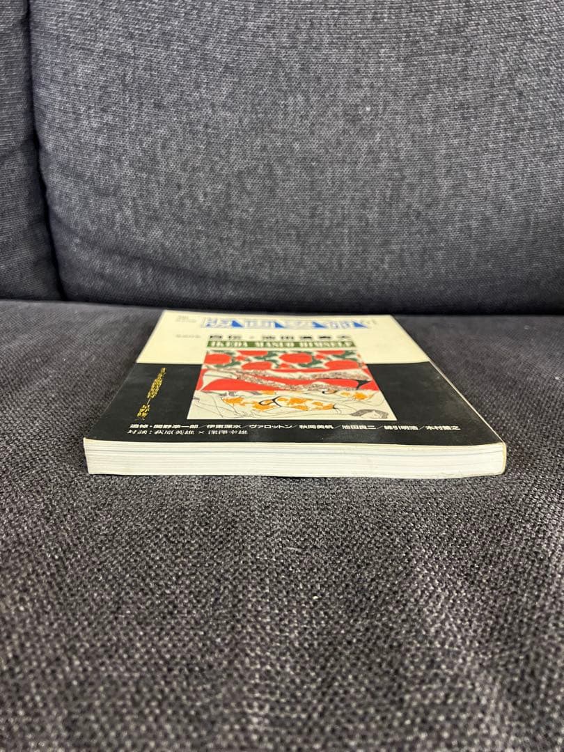 版画藝術61号 1988年刊 池田満寿夫特集 廃盤 星野修三版画付 アート　本