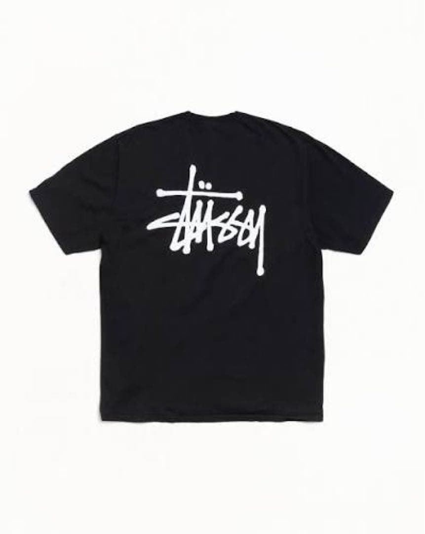STUSSY Tシャツ
