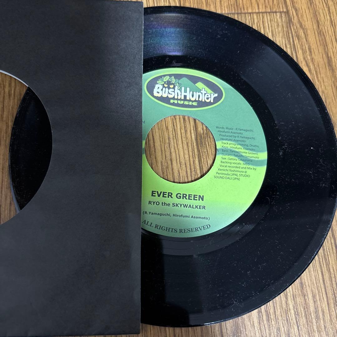 ryo the ever green free セット7インチレコード