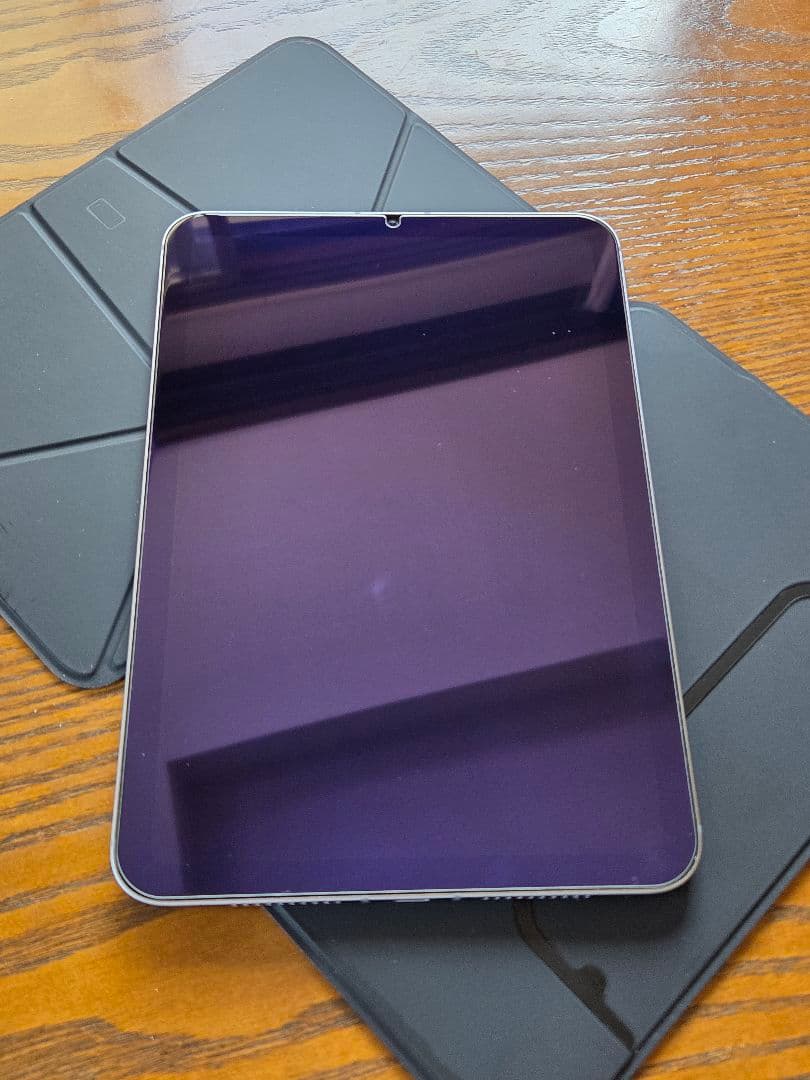 iPad本体 Apple iPad mini A17Pro Cellular128gb