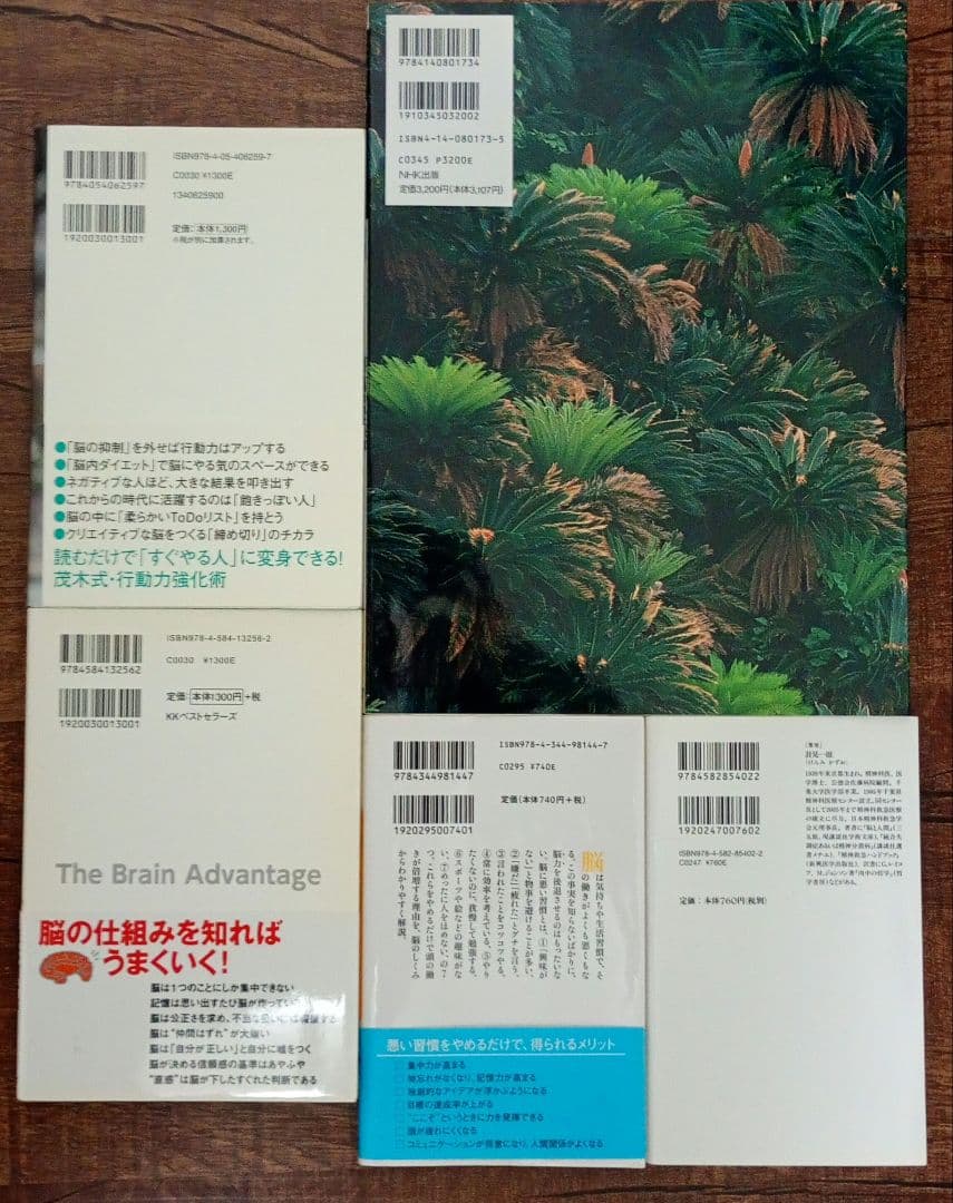 脳と心 宇宙 まとめ売り 26冊 セット 茂木健一郎 養老孟司 科学 オカルト