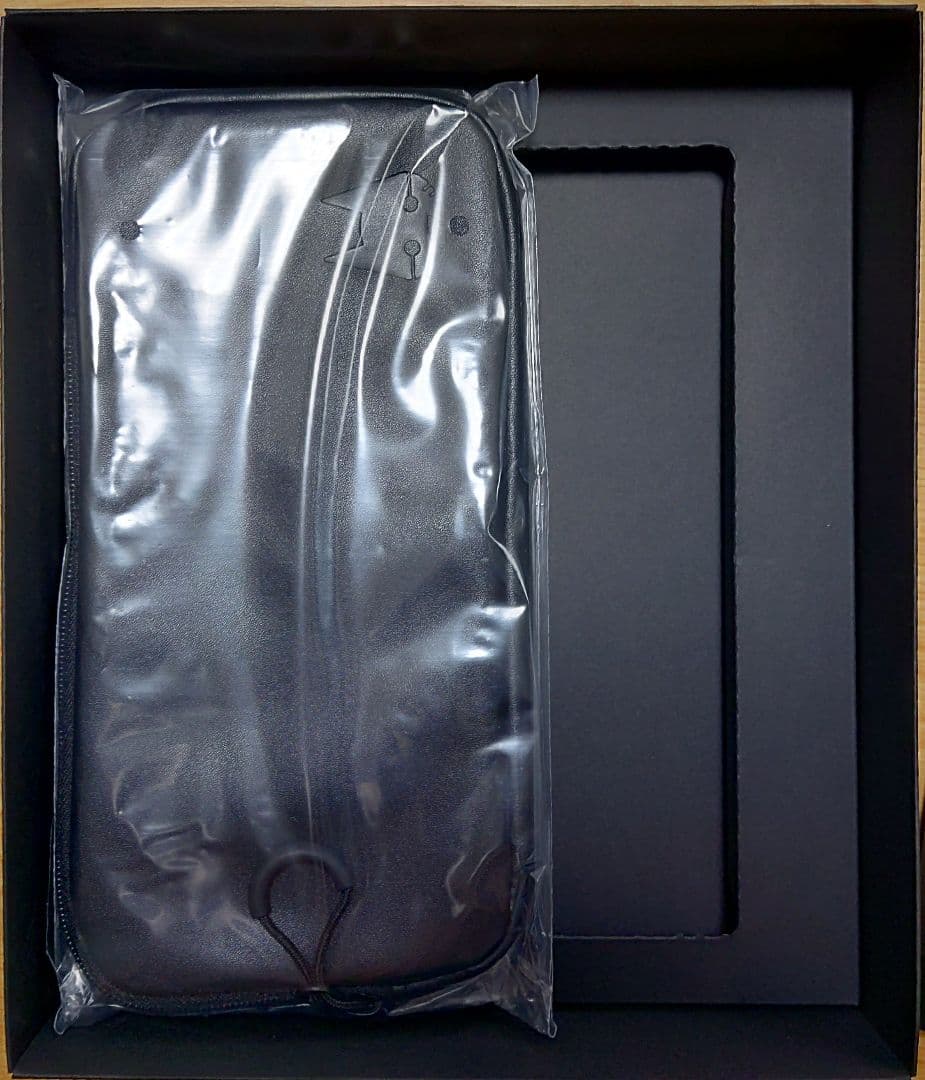 Stray Collector's Edition Switch パッケージ版