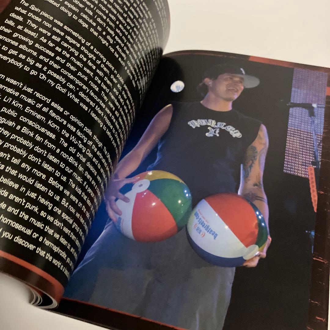 アート・デザイン・音楽 BLINK 182: THE UNAUTHORISED BIOGRAPHY IN