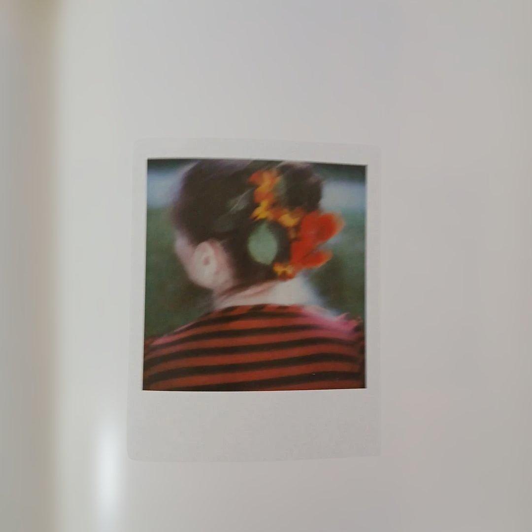 SELECTIONS 2　From Polaroid Collection