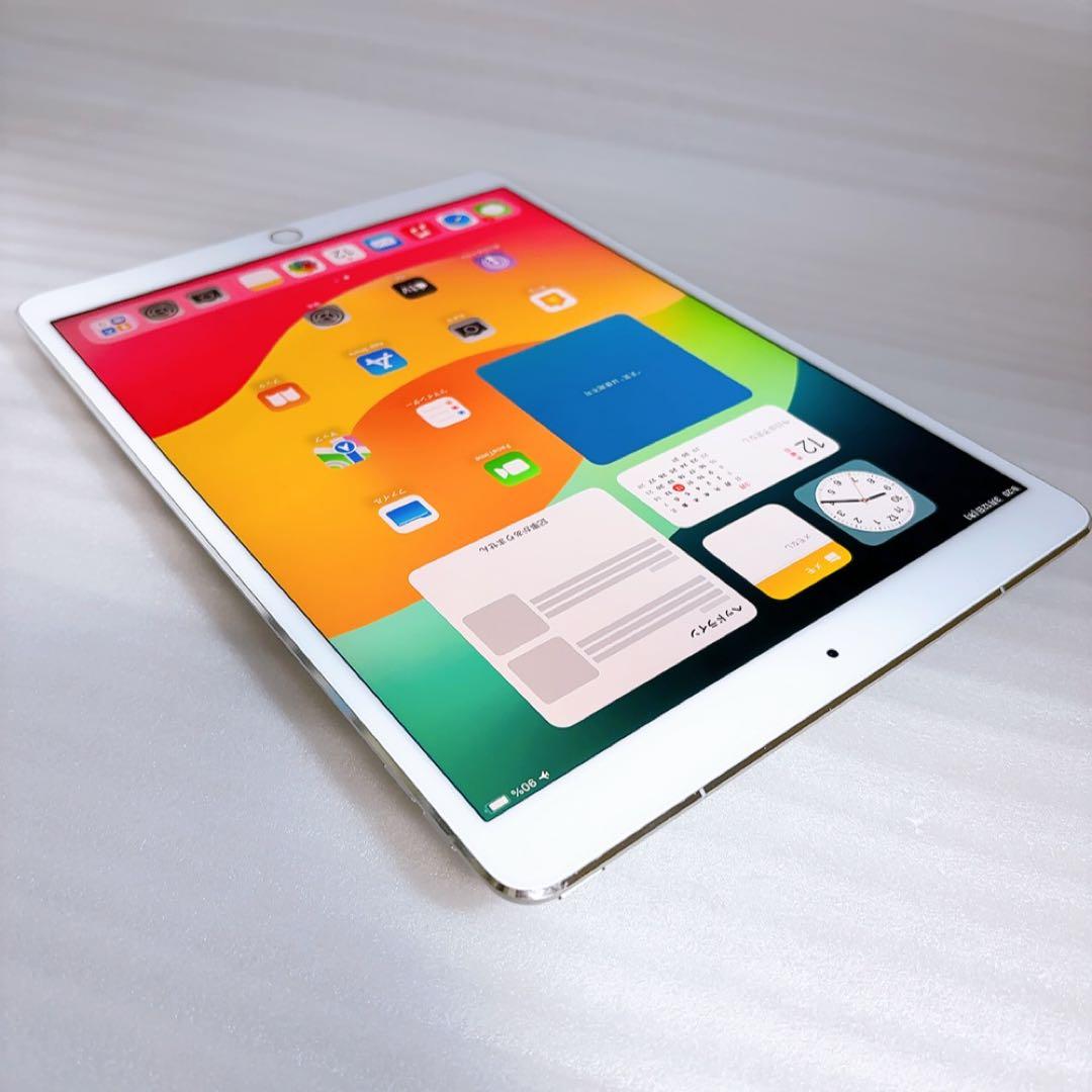 即日発送！iPadPro2【256GB】SIMフリーとアップルペンシルのセット
