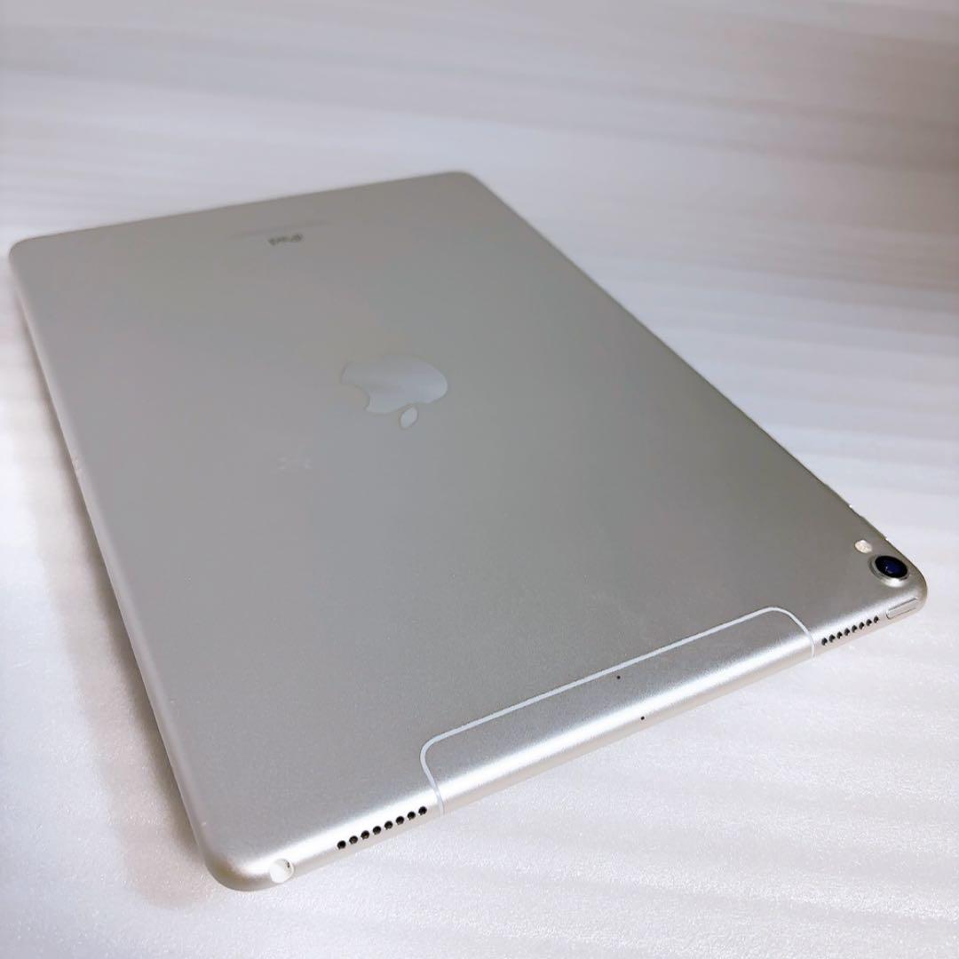 即日発送！iPadPro2【256GB】SIMフリーとアップルペンシルのセット