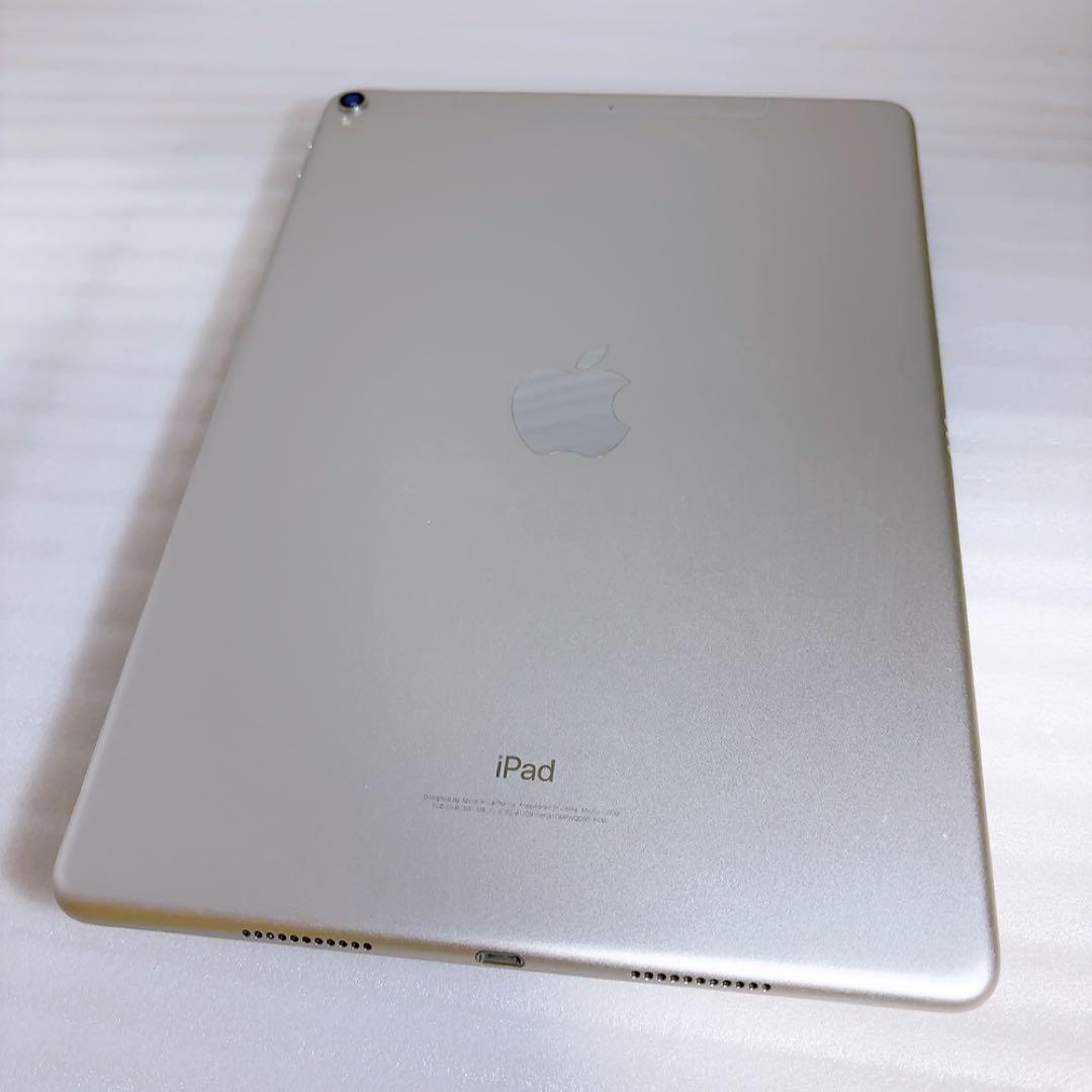 即日発送！iPadPro2【256GB】SIMフリーとアップルペンシルのセット