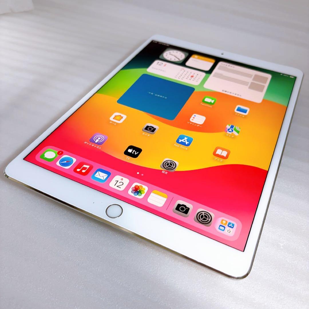 即日発送！iPadPro2【256GB】SIMフリーとアップルペンシルのセット