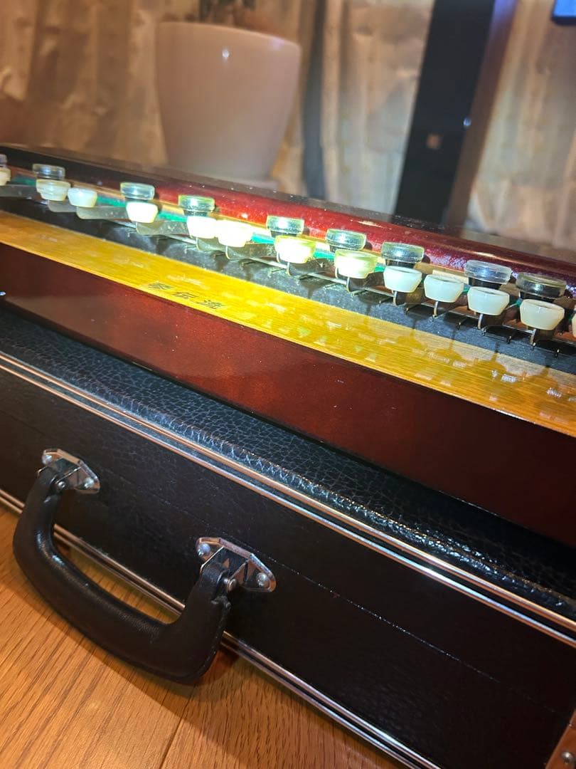 大正琴 もみじ　琴伝流ハードケース付き