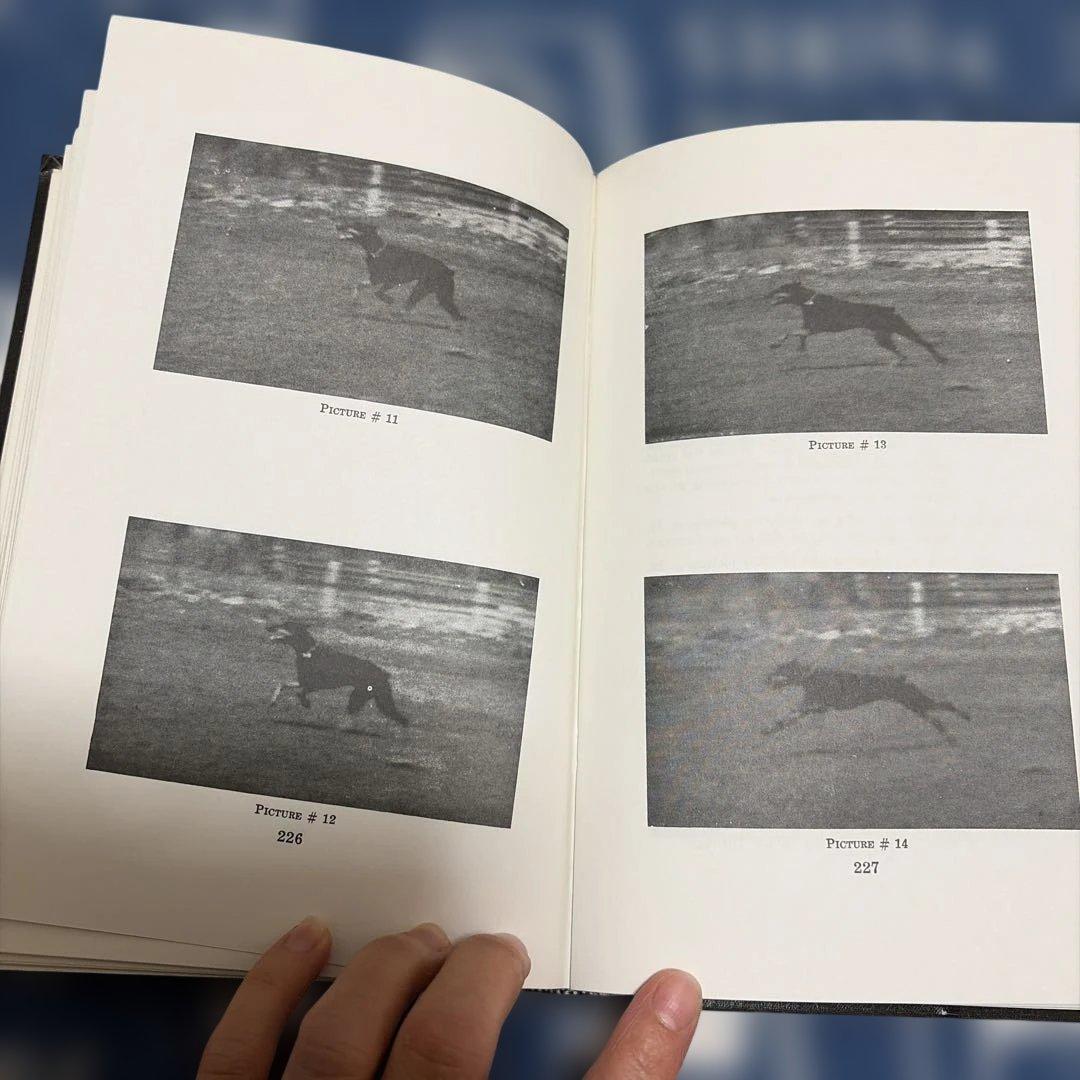 洋書 The Complete Doberman Pinscher