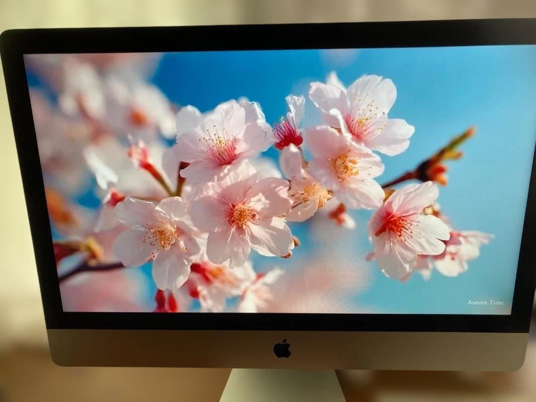 RITAO CHAN公式アカウント10様Apple iMac 27インチ シルバ