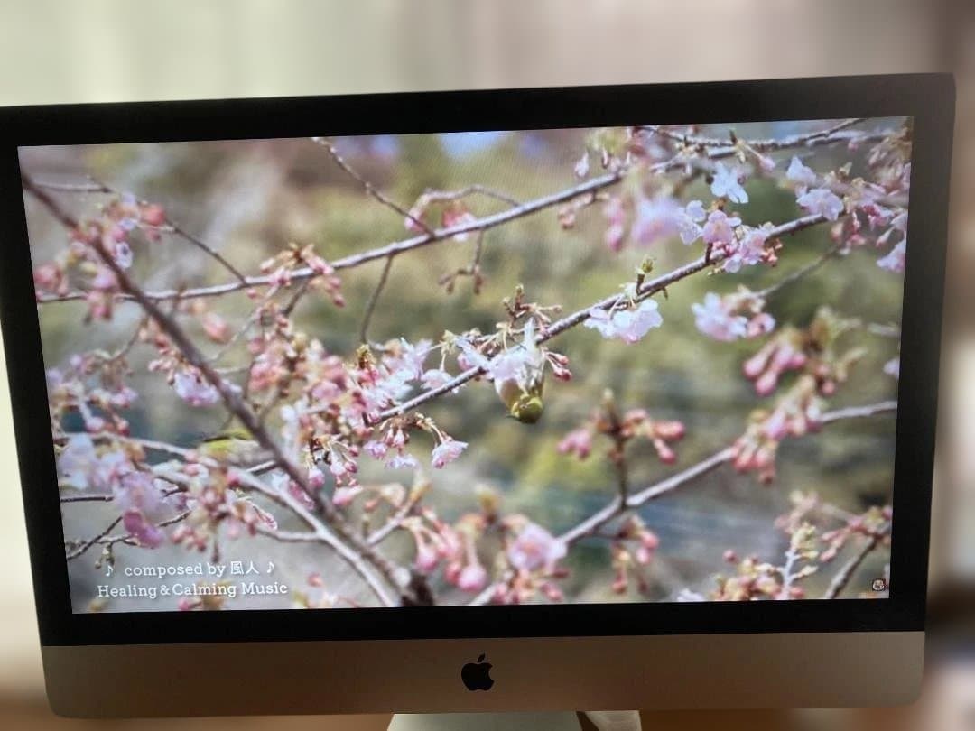 RITAO CHAN公式アカウント10様Apple iMac 27インチ シルバ