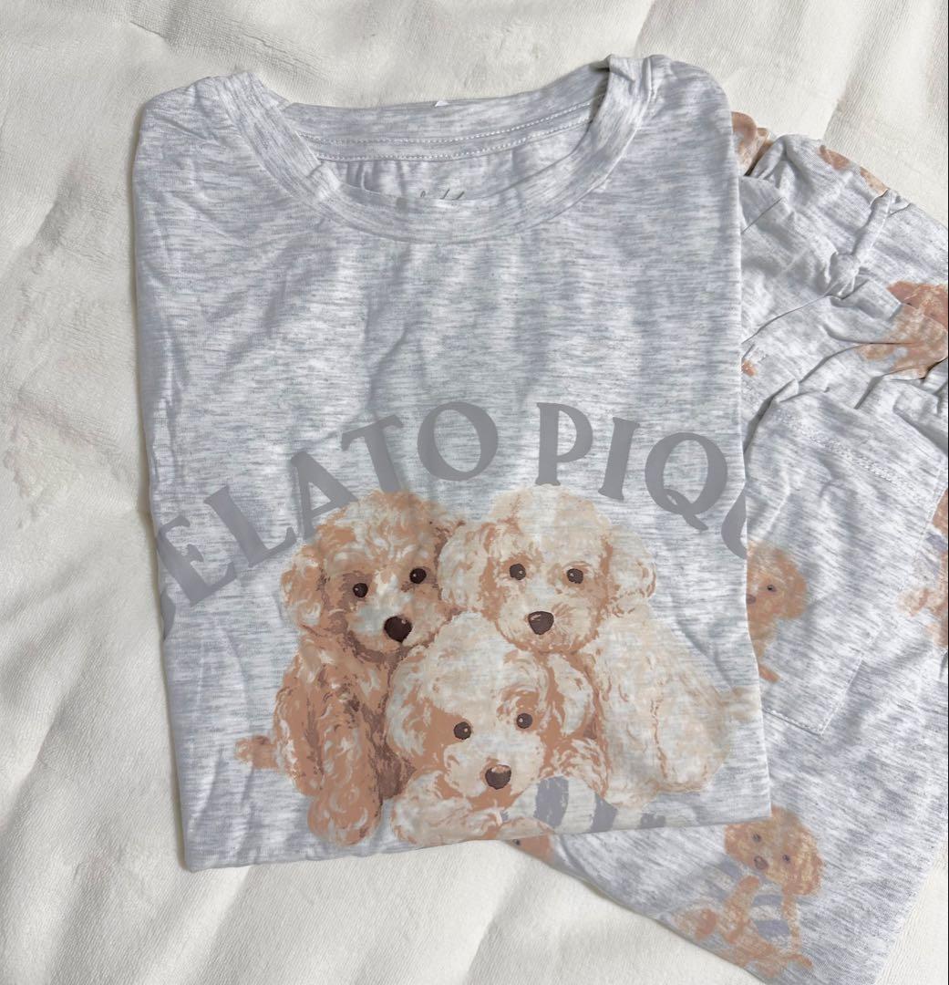 【新品未使用】ジェラートピケ　犬　プードル　ロゴ　半袖Tシャツ&ロングパンツ