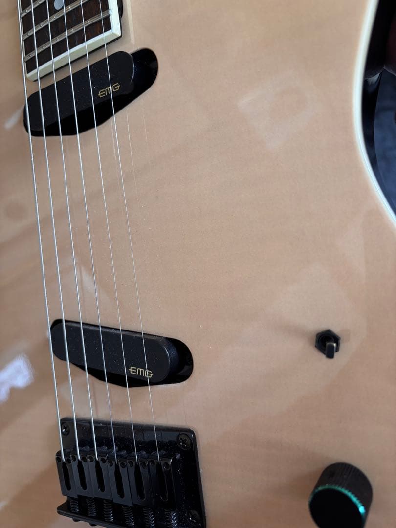 激レア品！FERNANDES TEJ Custom イベント出展品