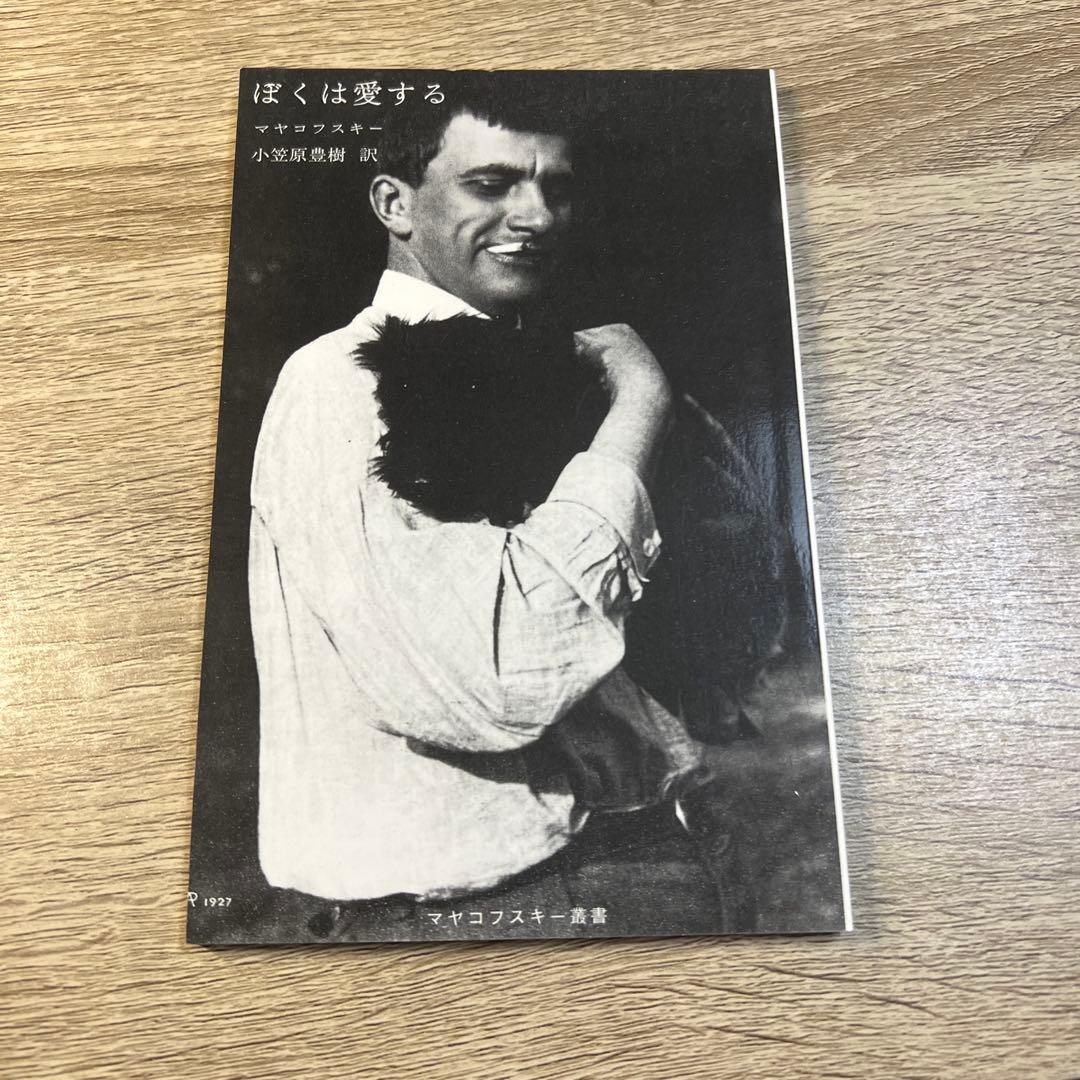 海外文学 海外ミステリー 海外小説 49冊