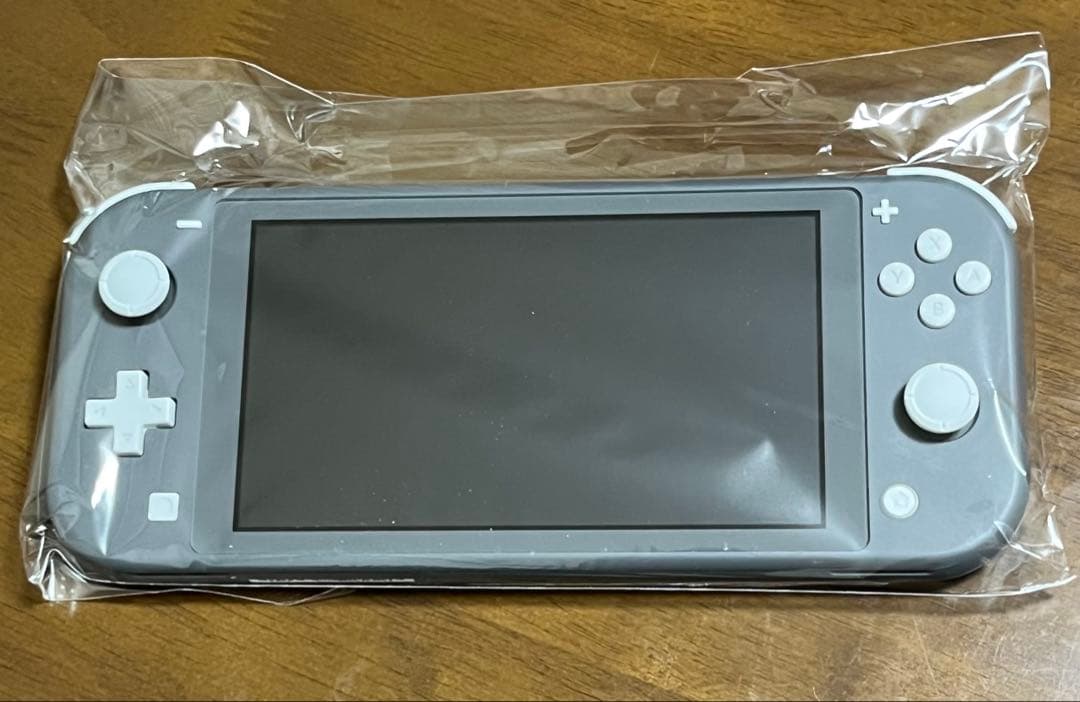 Nintendo Switch Lite グレー アダプター付き
