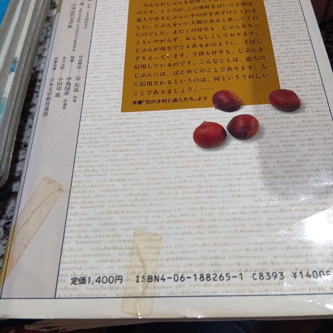 少年少女日本文学館 講談社　24冊セット　絶版希少　昭和レトロ　名作　人気　本
