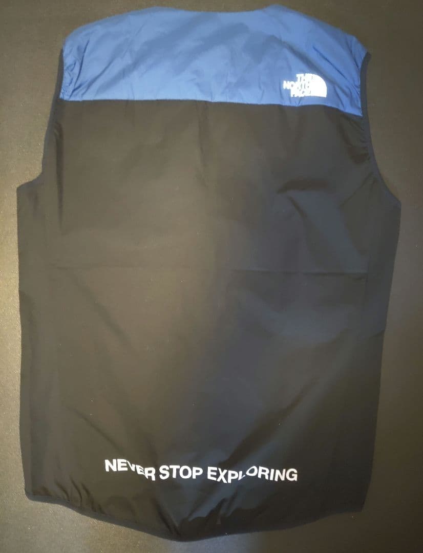 フィニッシャーズベストTHE NORTH FACE