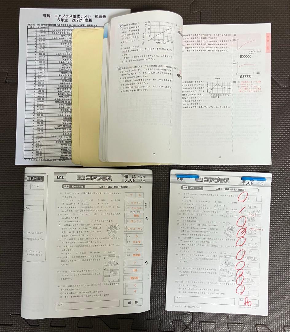 SAPIX 6年 理科 デイリーサピックス 1-38 平常授業 2023年受験