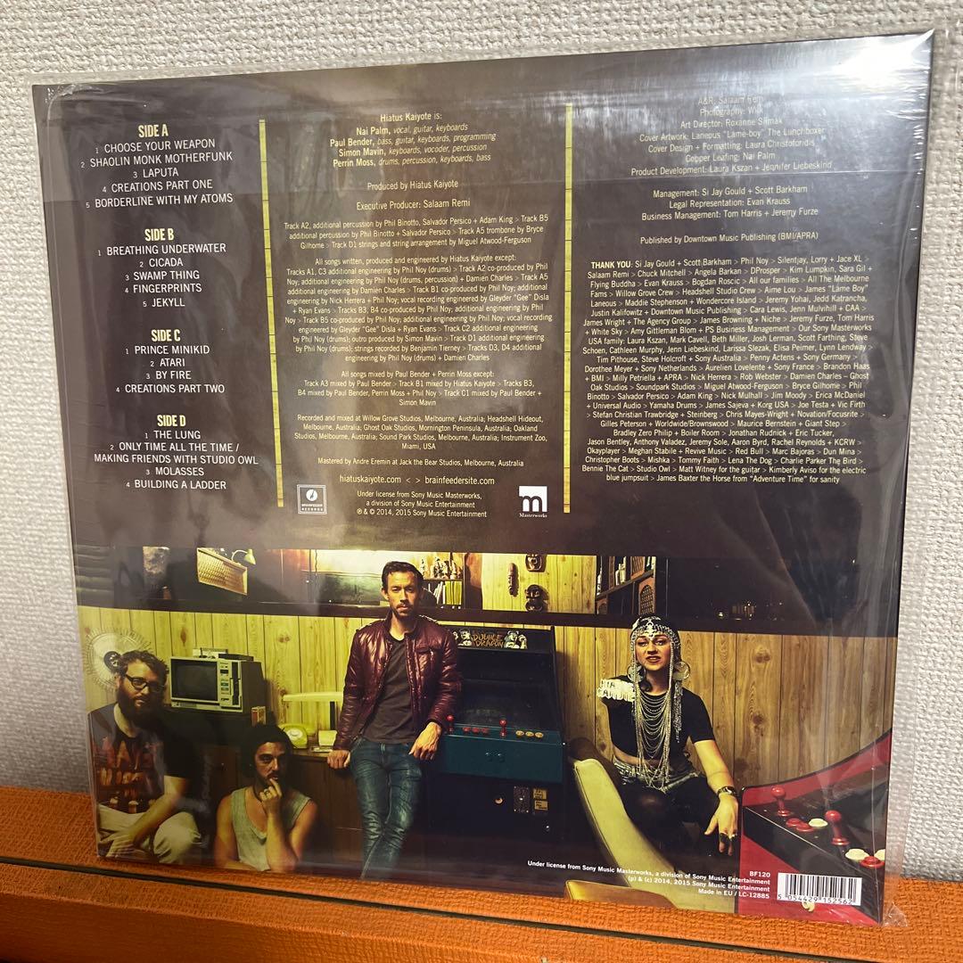 hiatus kaiyote レコード未開封choose your weapon