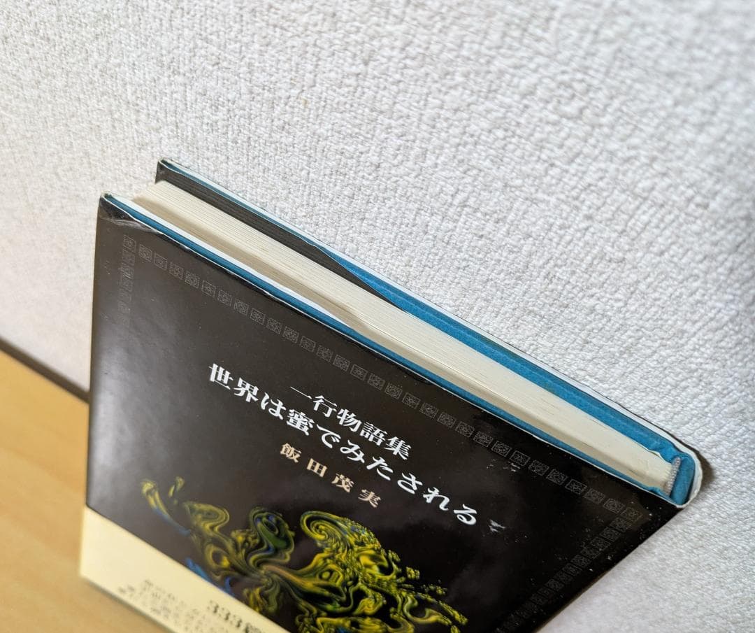 飯田茂実 一行物語集 世界は蜜でみたされる 帯付き 水声社