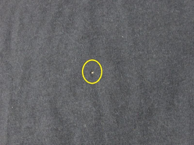 SACRIFICE 1987？ バンドTシャツ