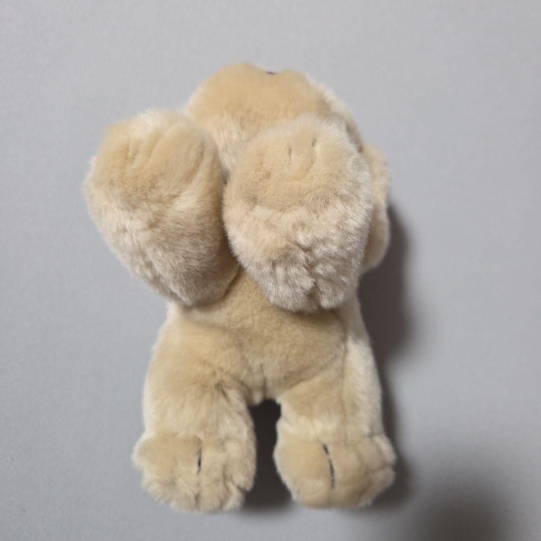 毛並の良いベージュの犬のぬいぐるみ 約18cm
