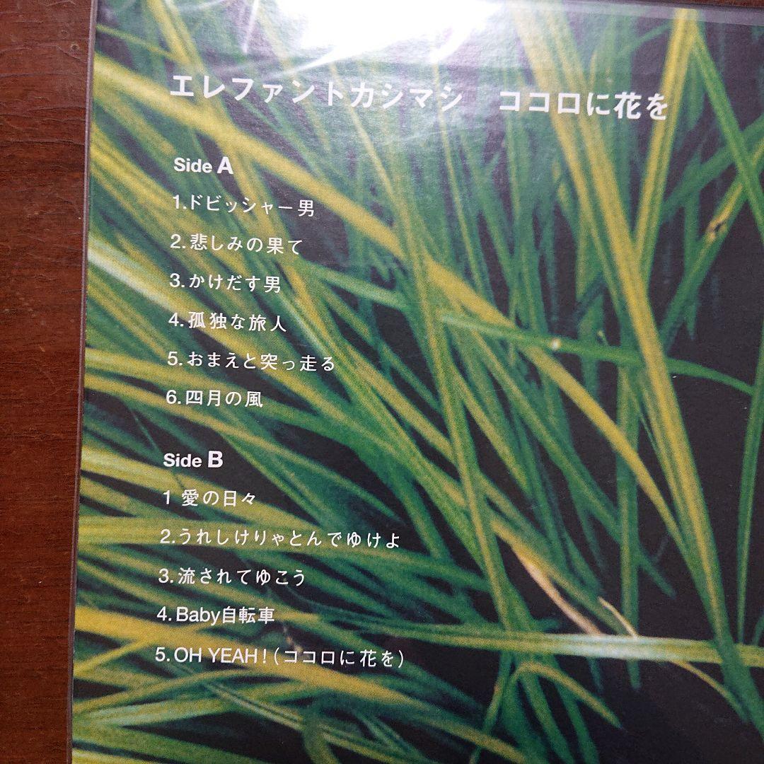 エレファントカシマシ　ココロに花を　LP　レコード　メガジャケ付き　宮本浩次