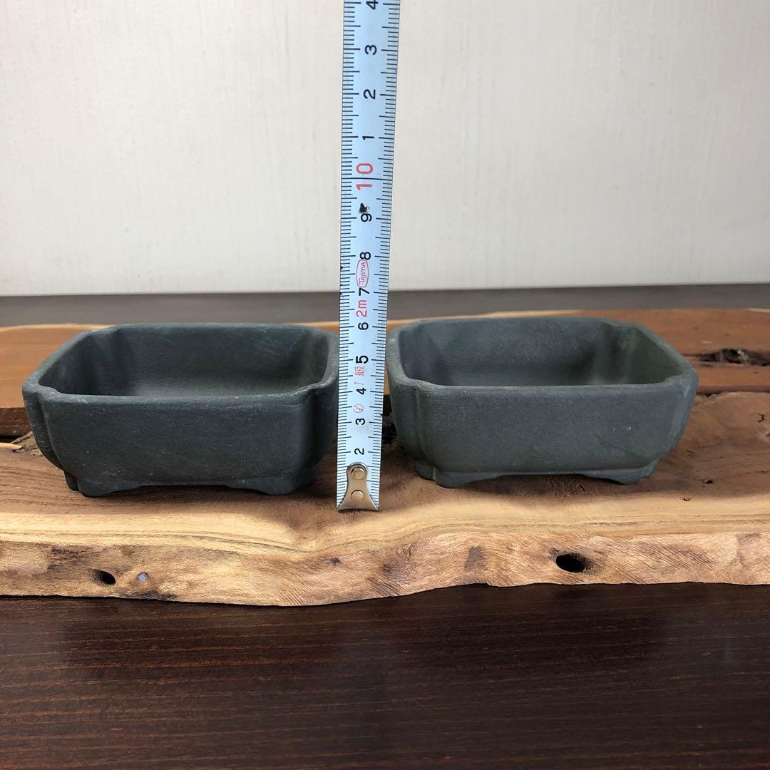 【名品】人気和鉢作家　伊勢周桂　小品盆栽鉢　5個セット　受皿付