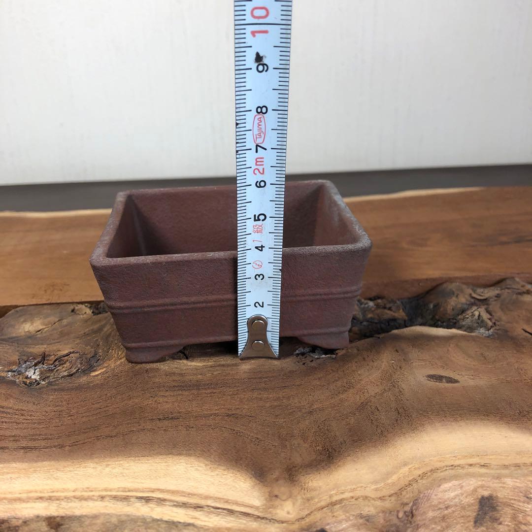 【名品】人気和鉢作家　伊勢周桂　小品盆栽鉢　5個セット　受皿付