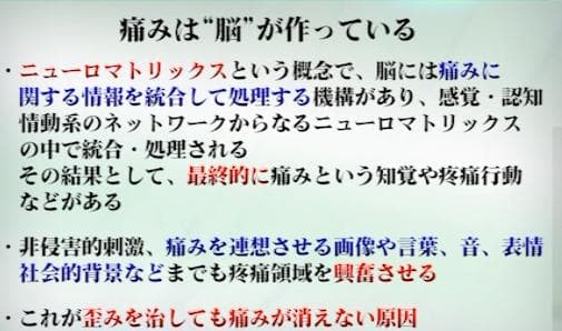 Neuro Matrix 神経回路修復法