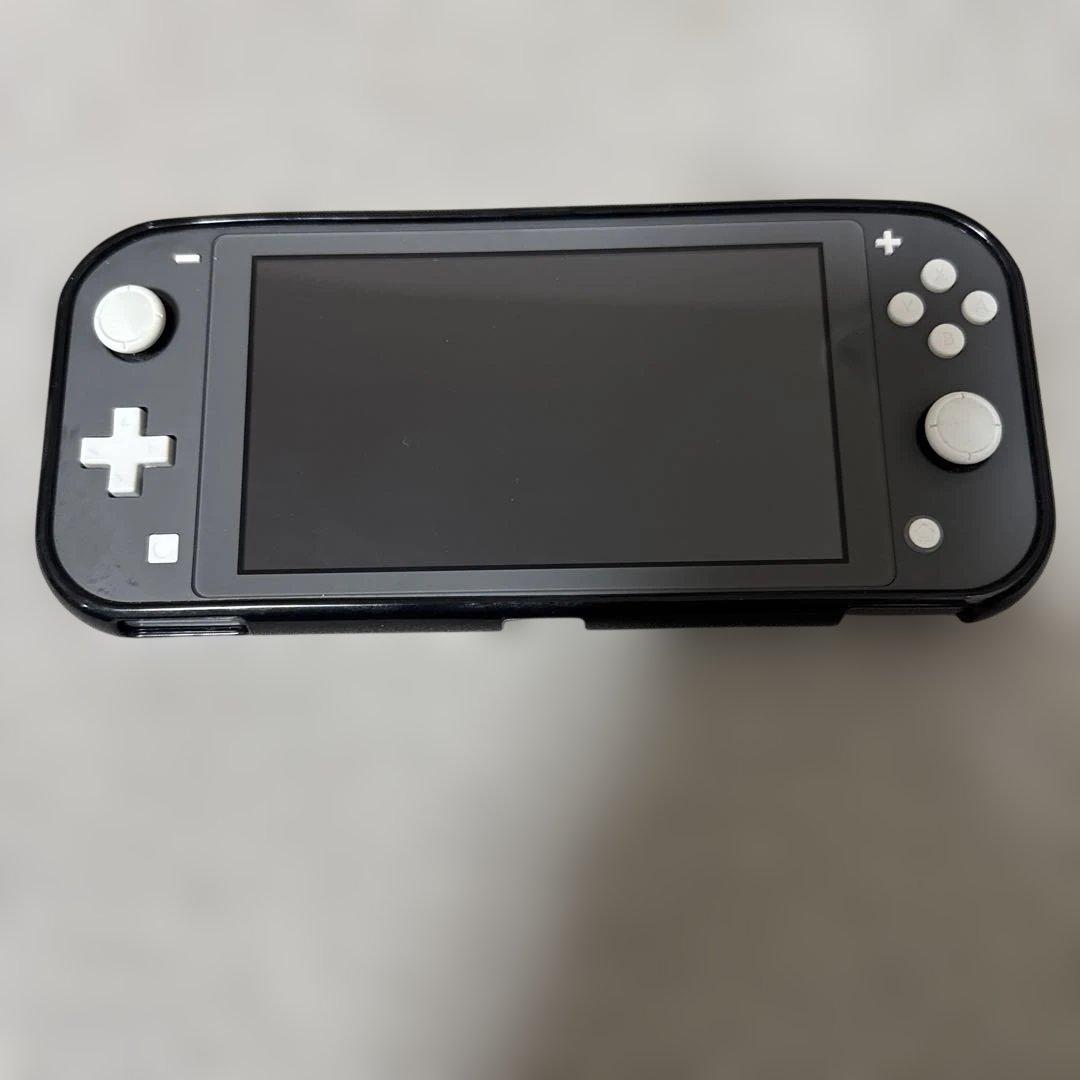 switch light 保護カバー付き