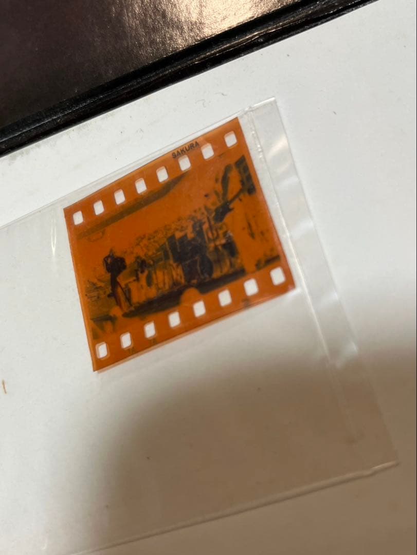 当時物　ディープパープル　ネガフィルムのみ