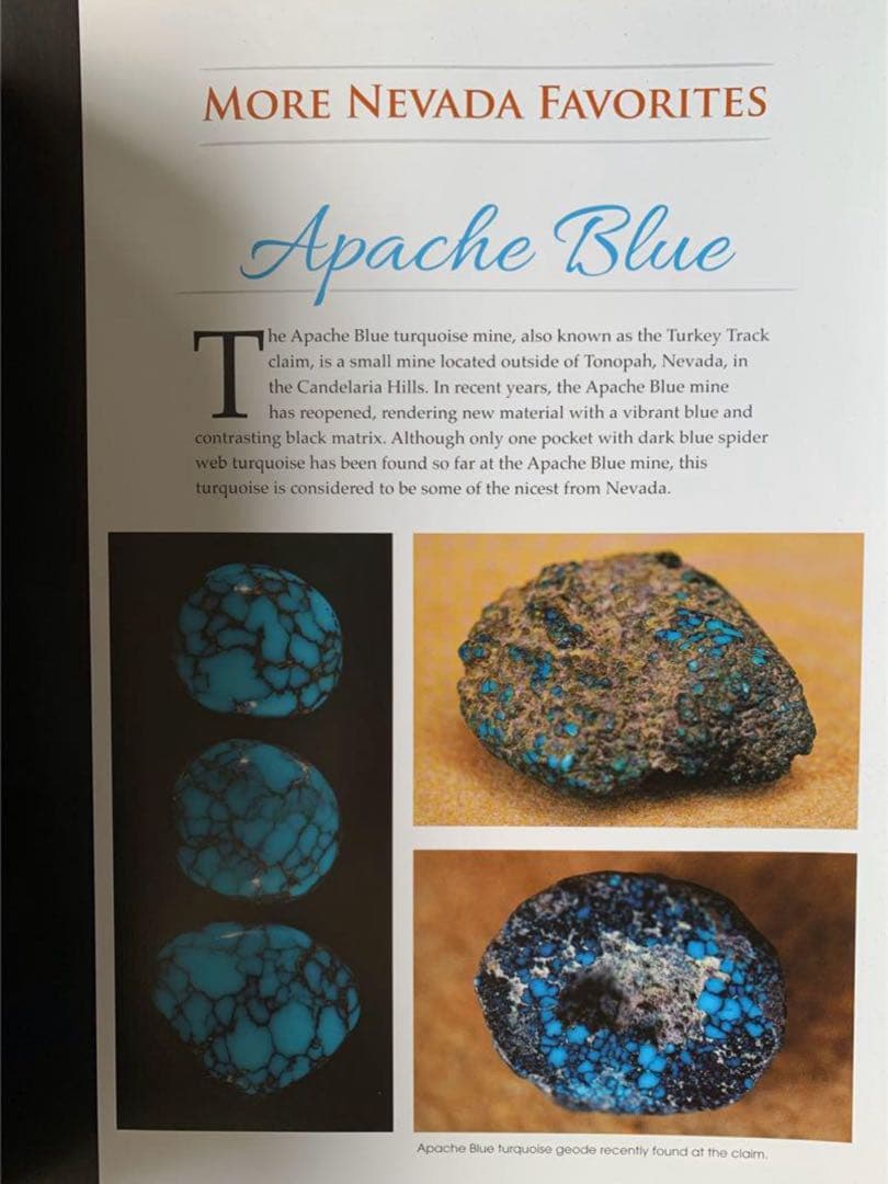 Jewel of the Southwest Turquoise ターコイズ 本